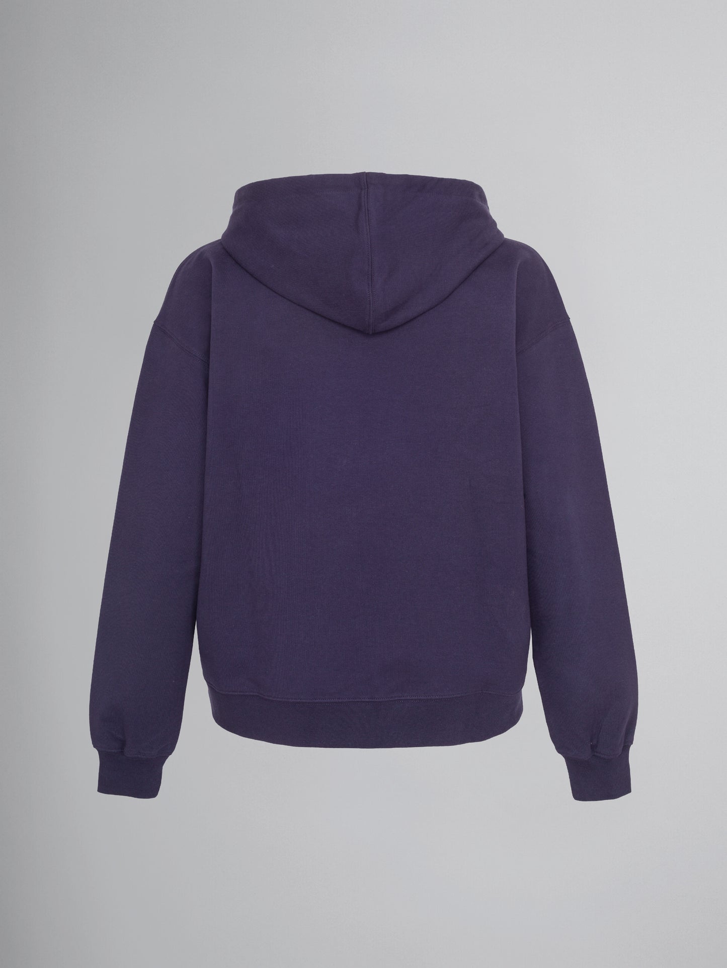Hoodie Sweater - Pony Club - ocean blue (-50%)
